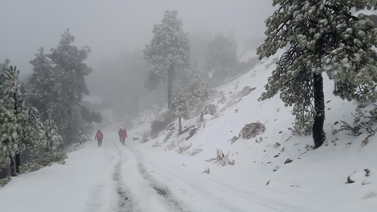 SMN preve caída de nieve y agua nieve en regiones montañosas