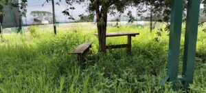 Xalapeños denuncian abandono del Parque Natura