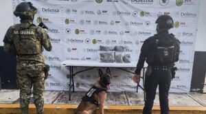 En lo que va de noviembre SSP ha detenido a al menos 20 personas en operativos