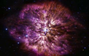 ¿De qué estamos hechos?