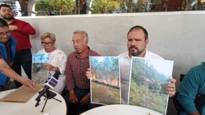 Cofre de Perote en crisis por tala clandestina: González Naveda