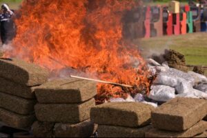 FGR incinera narcóticos y destruye objetos asegurados en Las Bajadas