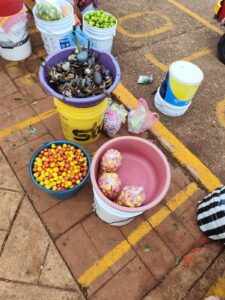 Alertan sobre la venta ilegal de cangrejo azul en Pajapan, Veracruz