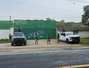 Autoridades aseguran presunta planta clandestina para procesar hidrocarburos en Coatepec