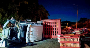 Rapiña tras volcadura de camión con pollos