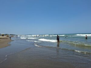 Suman 8 muertos por ahogamiento en playas de Veracruz este verano