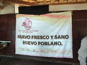 Avicultores piden consumir huevo mexicano ante importaciones