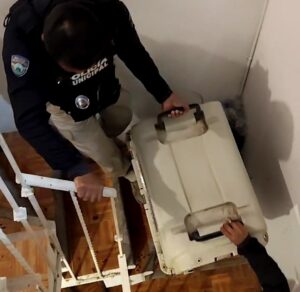 Rescatan perros y un gato en presunto caso de maltrato en Xalapa
