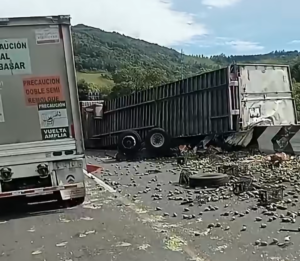 Vuelca tráiler cargado de tunas en Maltrata