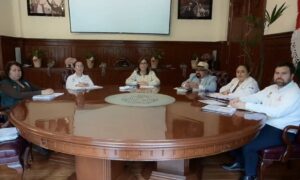 Mayor desabasto de insumos y medicamentos se concentra en Veracruz, Boca del Río y Xalapa:Gobernadora
