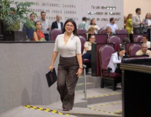 Proponen incluir fotografía de candidatos en boletas electorales en Veracruz