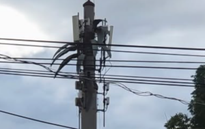 Muere trabajador tras caer de antena en Xalapa