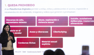 Decreto busca proteger a menores en internet