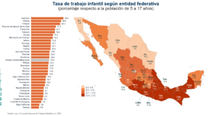 Veracruz, entre los estados con más trabajo infantil