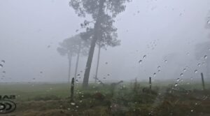 Prevén lluvias fuertes en el norte de Veracruz; Gobierno estatal activa monitoreo permanente