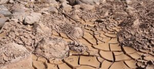 ONU alerta por El Niño extremo; sequías podrían agravar el hambre mundial