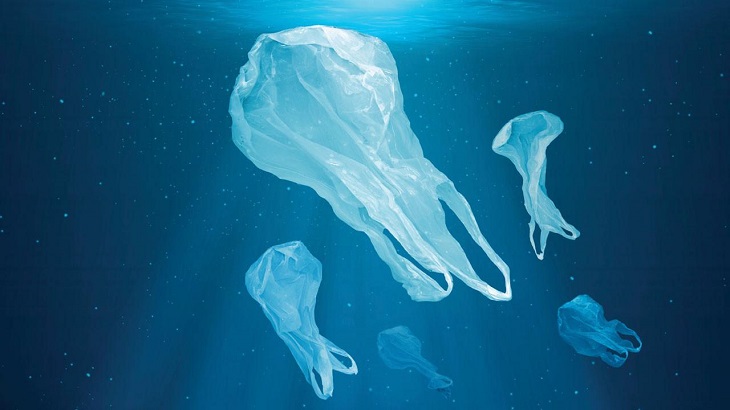 Este 3 de julio se conmemora el Día Internacional Libre de Bolsas de Plástico.