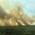 Incendio en zona pantanosa de Las Matas causa devastación