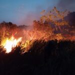 Bomberos de Cosoleacaque y Soconusco sumaron sus esfuerzos para combatir fuerte incendio en Villa Juanita