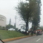 Camioneta choca contra un árbol