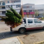 Más de cien toneladas recogió Discricar