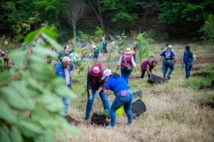 En Veracruz empresarios impulsan proyecto en beneficio del medio ambiente