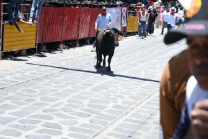 Dos heridos de gravedad durante las xiqueñadas