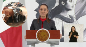 “Una decisión totalmente exagerada”: Sheinbaum critica cierre de fronteras de EE.UU. al ganado mexicano