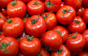 Gobierno de México seguirá exportando tomate a pesar de los aranceles