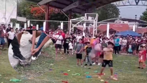 Por “tradición” meten a animales vivos en piñatas en Campeche