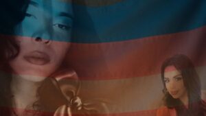 Veracruz segundo lugar en transfeminicidios en México; Una tipificación necesaria y urgente
