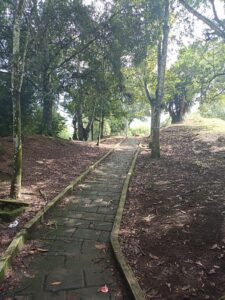 Hoy inicia el Otoño