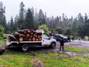 Profepa asegura 22 rollos de madera oyamel durante operativo contra la tala en Ocuilan, Estado de México