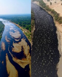Emergencia ecológica en el norte de Veracruz: se derraman casi 5 millones de litros de petróleo en el río Pantepec