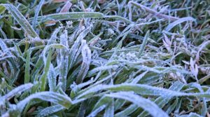 Ingresará Frente Frío No. 11 el martes a territorio veracruzano, se pronostican bajas temperaturas en zonas montañosas