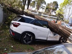Cae árbol sobre camioneta en el estacionamiento de la Preparatoria Artículo Tercero en Xalapa