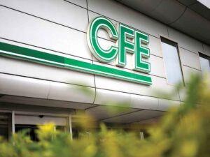 Comisión Federal de Electricidad restablece el servicio eléctrico al 100 % tras inundaciones en Veracruz