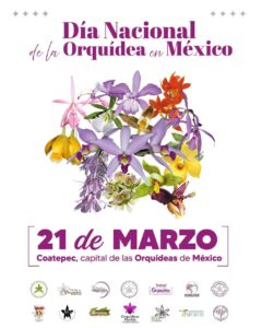 Se establece el 21 de marzo como Día de la Orquidea