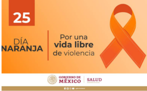 Día Internacional de la Eliminación de la Violencia contra las Mujeres