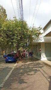 Asalto a BBVA de Avenida Xalapa