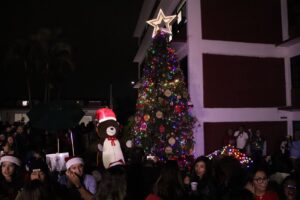 Magia, luz y comunidad; así se vivió el Encendido del Árbol UX 2025