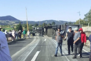 Saquean 20 toneladas de pavos tras volcadura en la Orizaba–Puebla