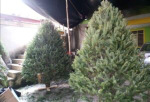 Protección Civil Xico llama a prevenir incendios en el hogar