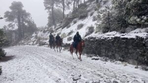Refuerzan vigilancia en el Parque Nacional Cofre de Perote durante el operativo Guadalupe Reyes