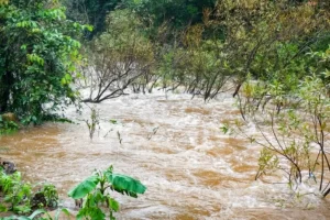 Hallan cuerpo flotando en el río Sedeño; Fiscalía de Veracruz inicia investigación
