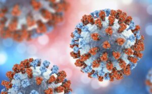 Descartan presencia de la variante K de influenza A H3N2 en México