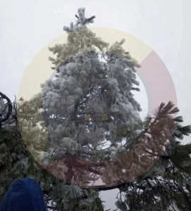 Amanecer helado en El Conejo; Cofre de Perote