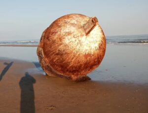 Boya arrastrada por el oleaje sorprende en la playa de Coatzacoalcos y se vuelve atractivo temporal