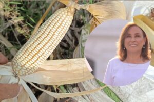 Gobierno de Veracruz reforzará apoyos al campo, ganadería y pesca en 2026