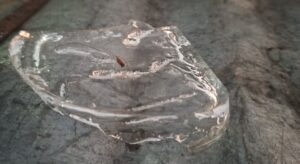 Frente Frío provoca intensas heladas en la zona serrana de Veracruz